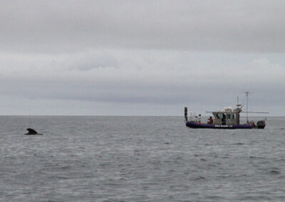 atlantic-gallery-02