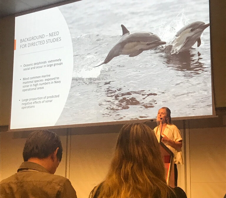 SEA Scientists Present Science and Conservation at World Marine Mammal Conference