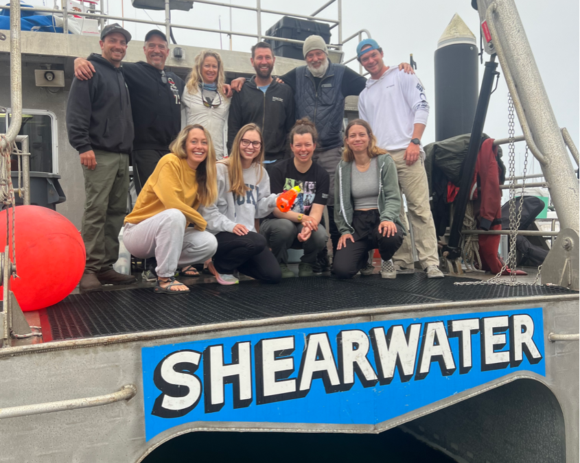 Marine Vibroseis BRS Field Effort: 11 Tagged Blue Whales in One Day