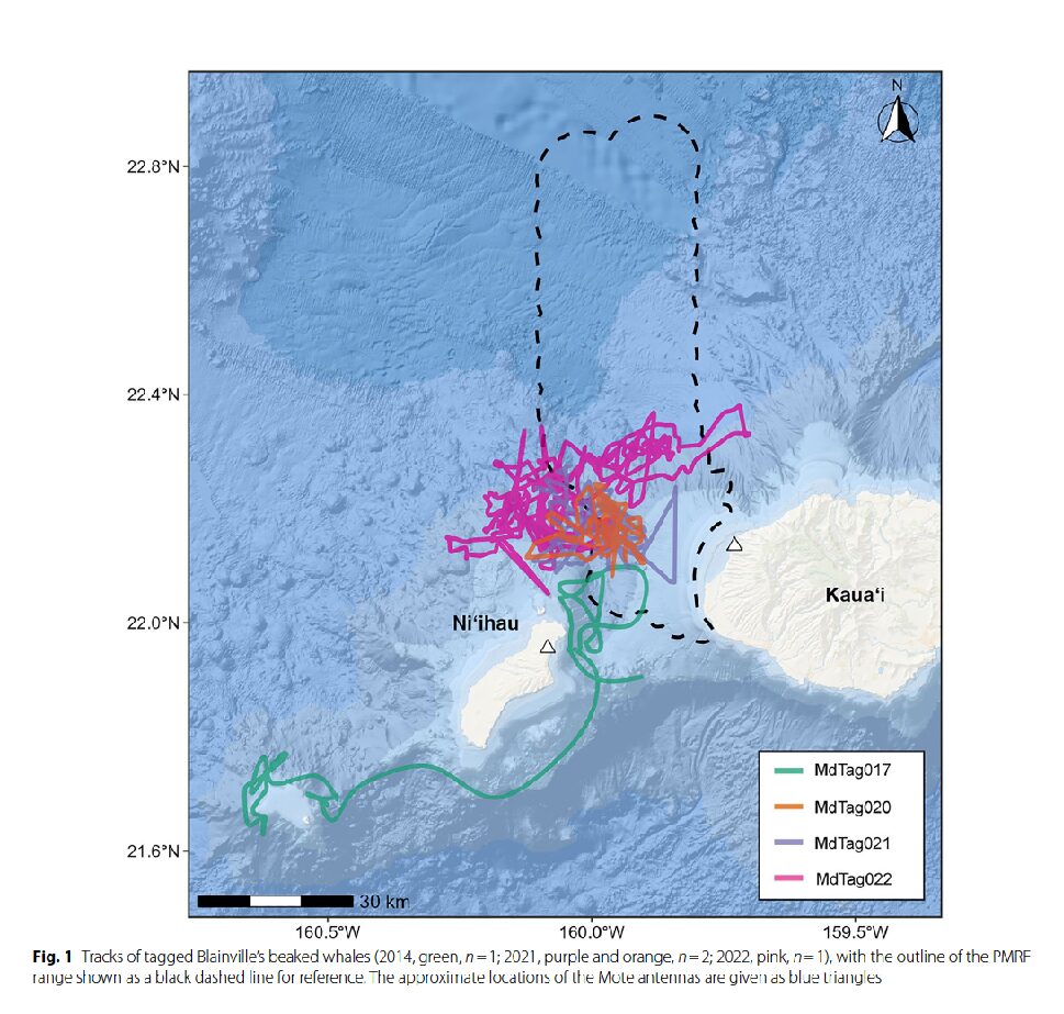 SEA’s Recent Article On Beaked Whale Movement and Dive Behavior In Response To Mid-Frequency Active Sonar